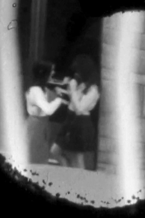 Fractions of Temporary Periods Poster