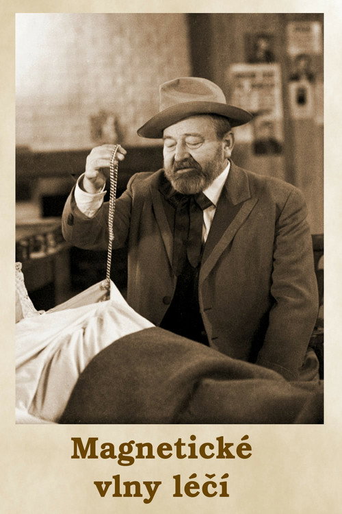 Magnetické vlny léčí Poster
