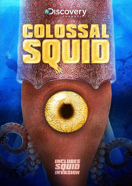 Colossal Squid Poster