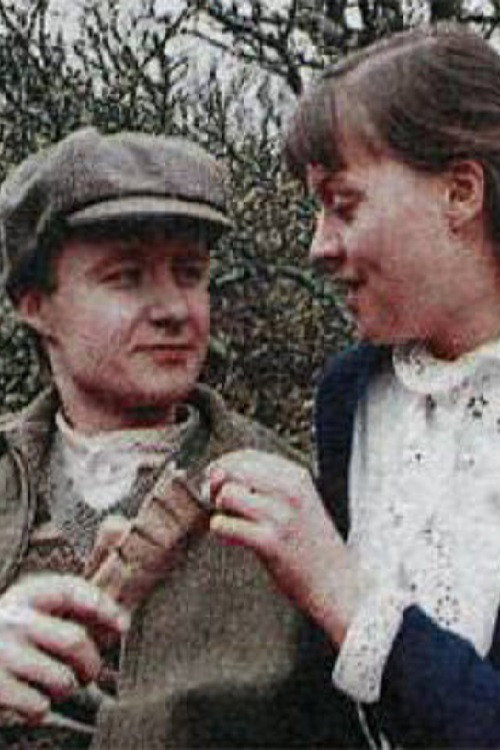 the Colours of the earth Poster