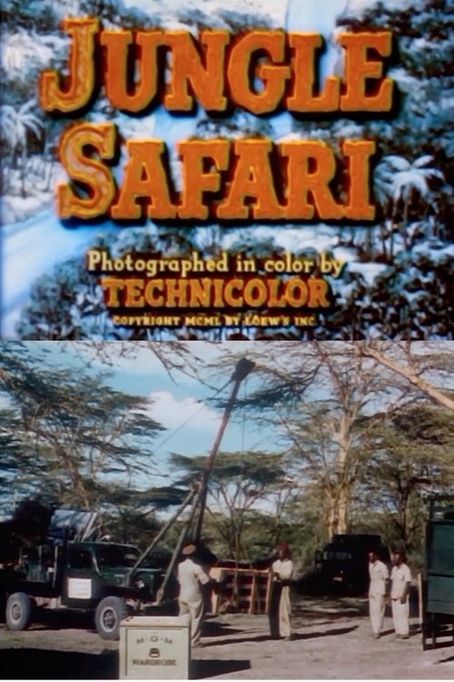 Jungle Safari Poster