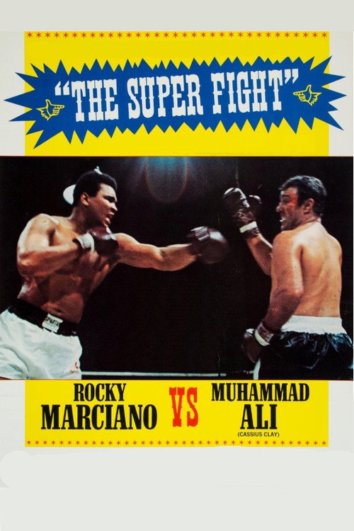 The Super Fight Poster