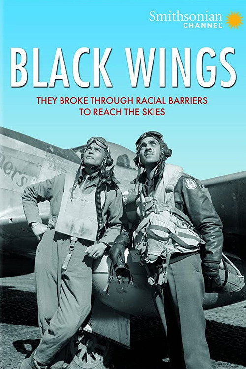 Black Wings Poster
