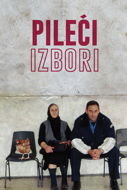 Chicken Elections Poster