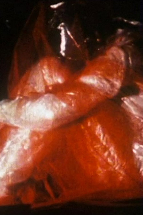 3 factorielle 1 Poster