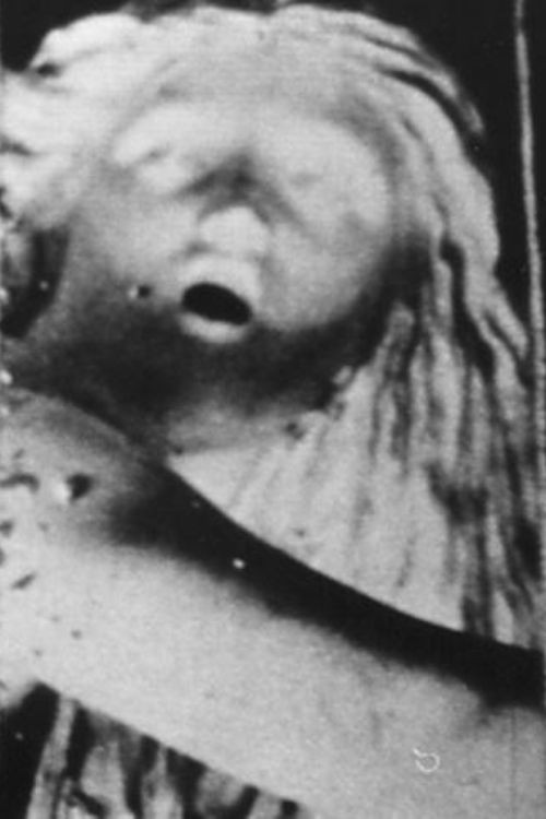 WHEN HEIDI POACHES Poster