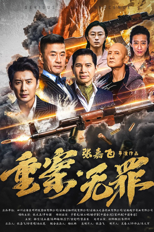 重案·无罪 Poster