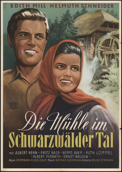 Die Mühle im Schwarzwäldertal Poster
