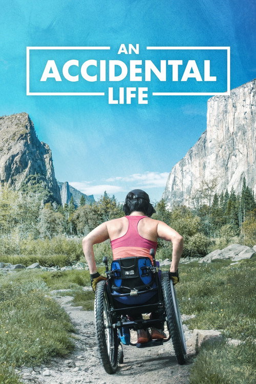 An Accidental Life Poster