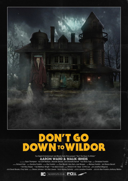Don’t Go Down to Wildor Poster