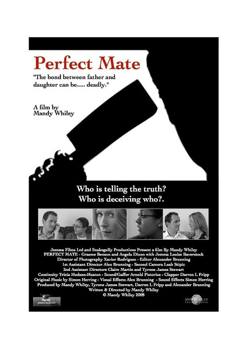 Perfect Mate Poster