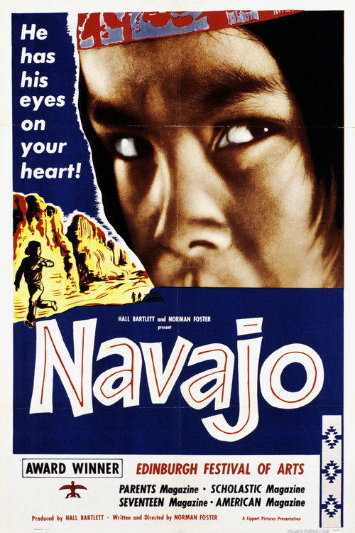Navajo Poster