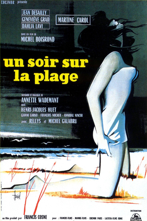 One Night at the Beach Poster