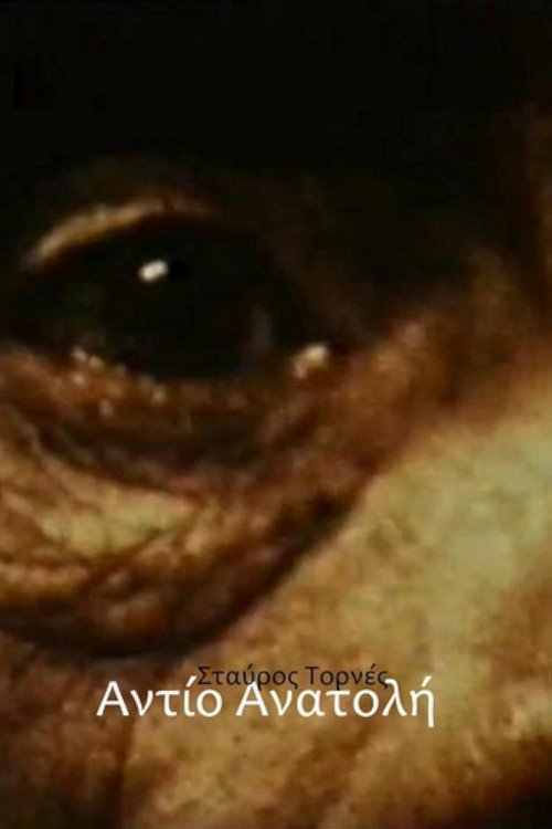 Addio Anatolia Poster