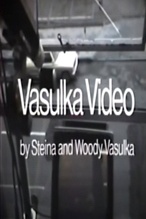 Vasulka Video Poster