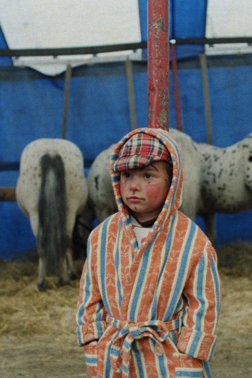 Der Zirkus kommt Poster