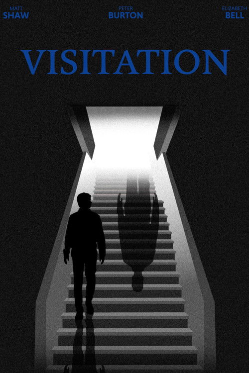 Visitation Poster