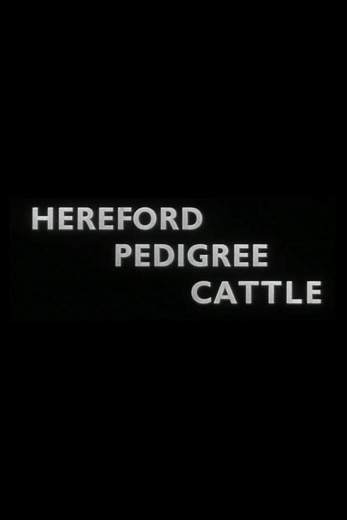 Hereford Pedigree Cattle Poster