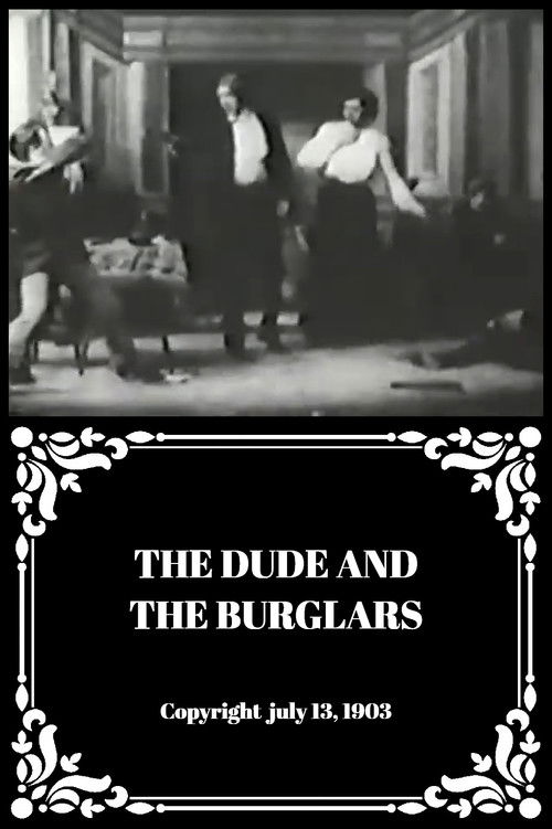 The Dude and the Burglars Poster
