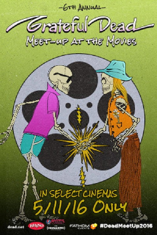 Grateful Dead: Live at Foxboro Poster