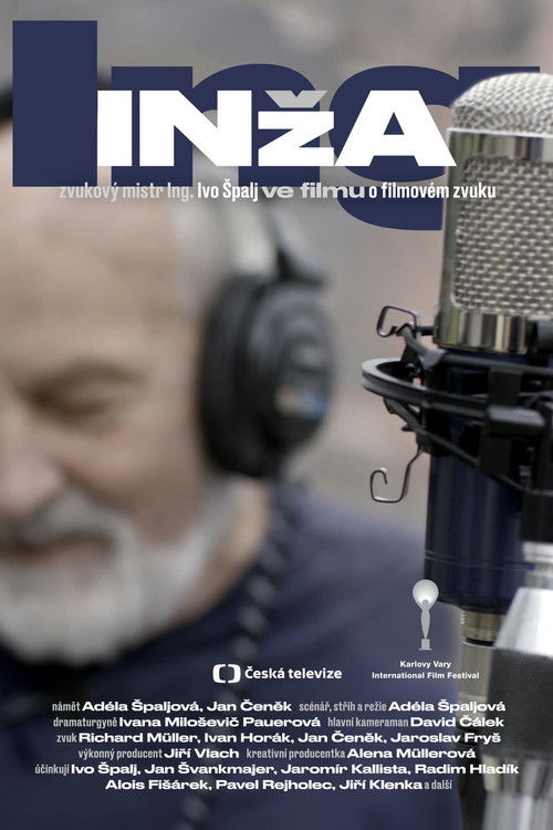 Engi – Sound Designer Ivo Špalj Poster