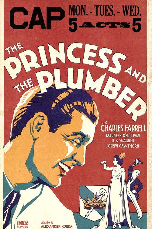 The Princess and the Plumber Poster