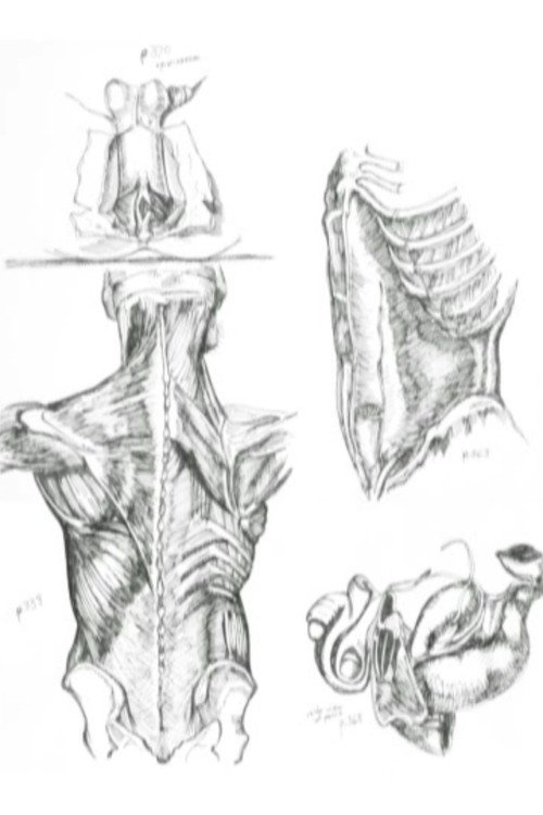 Médicalement Poster