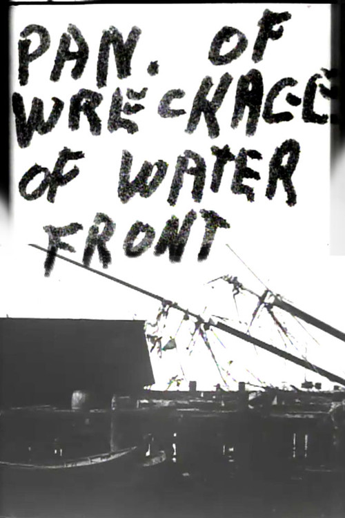 Panorama of Wreckage of Water Front Poster