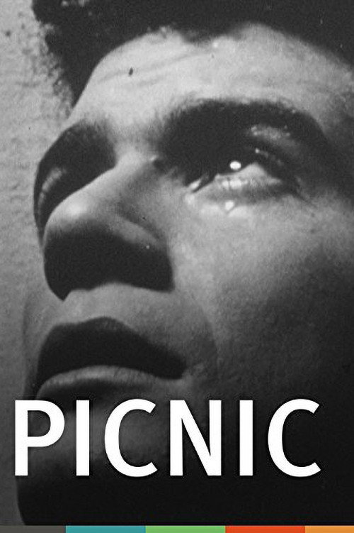 Picnic Poster
