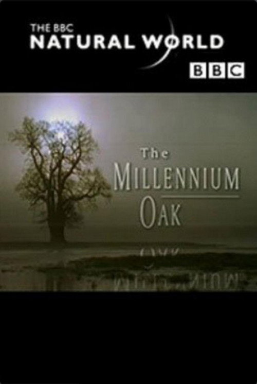 The Millennium Oak Poster