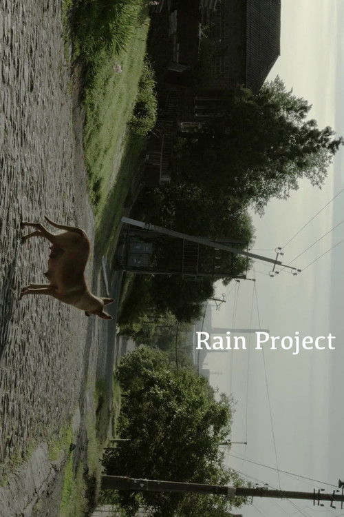 Rain Project Poster