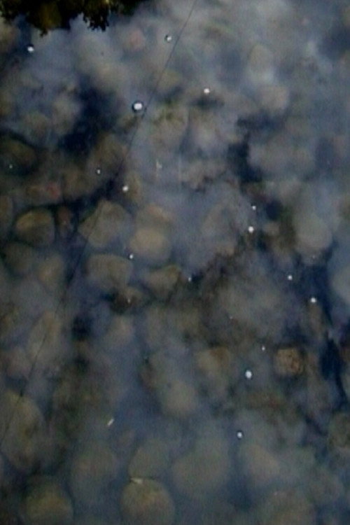 Drops on Marble Poster