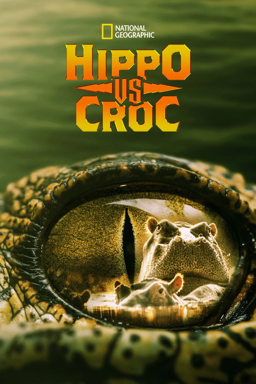 Hippo vs Croc Poster