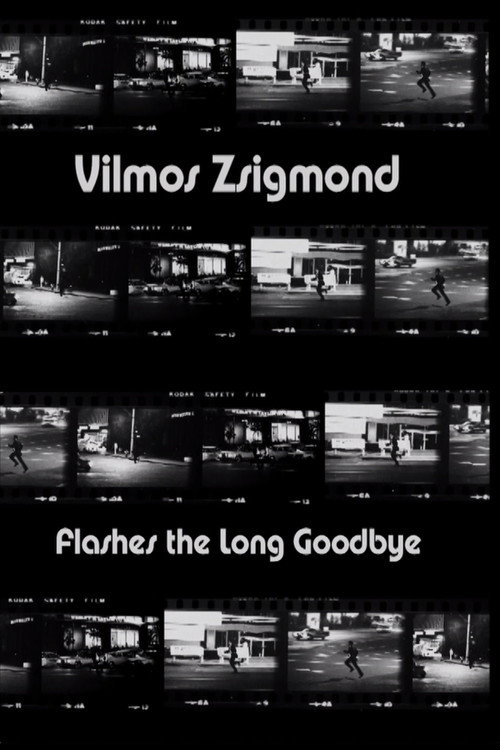 Vilmos Zsigmond Flashes 'The Long Goodbye' Poster