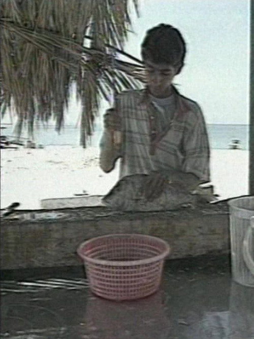 Cradle of Sun Poster