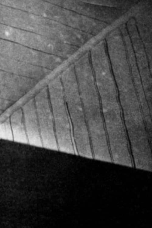 Light Shaft Poster