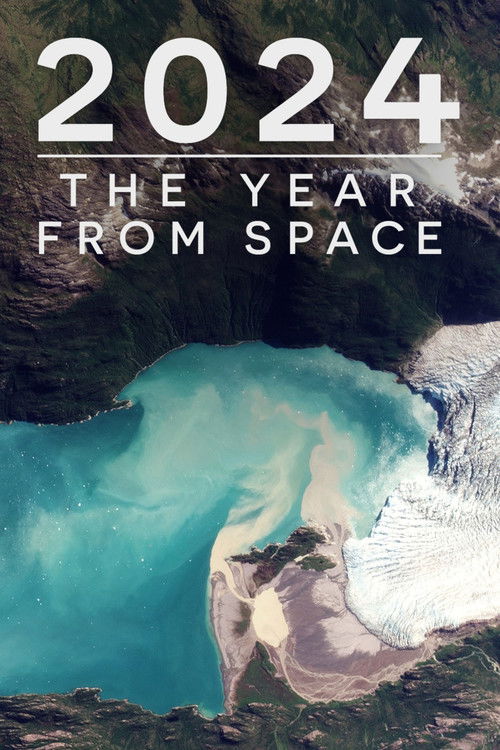 2024: The Year From Space Poster