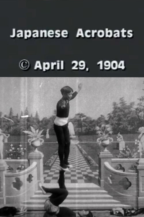 Japanese Acrobats Poster