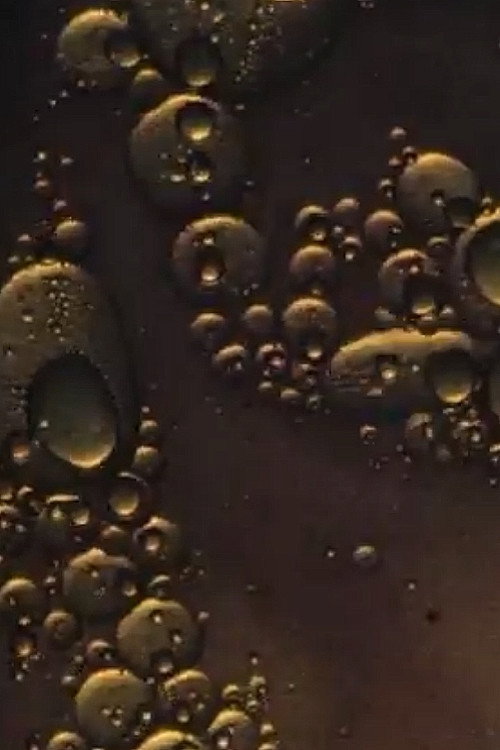 Le Jabrebbock Poster