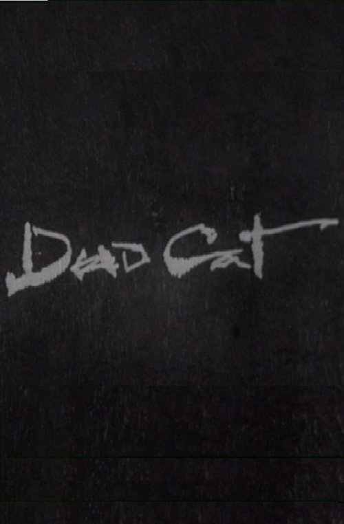 Dead Cat Poster