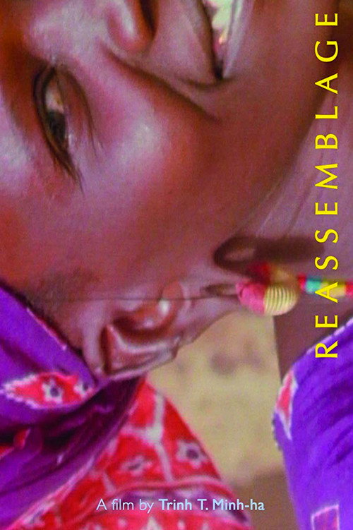 Reassemblage: From the Firelight to the Screen Poster