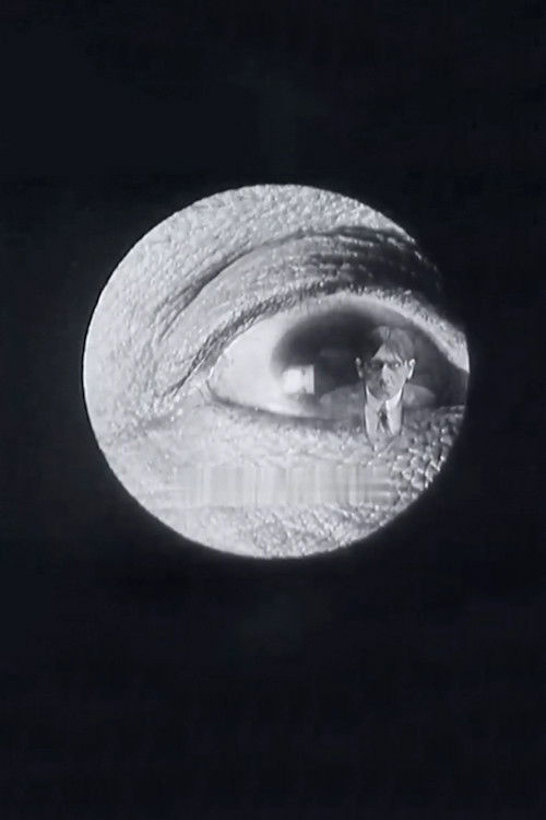 Doctor Mitchoff's Discovery Poster