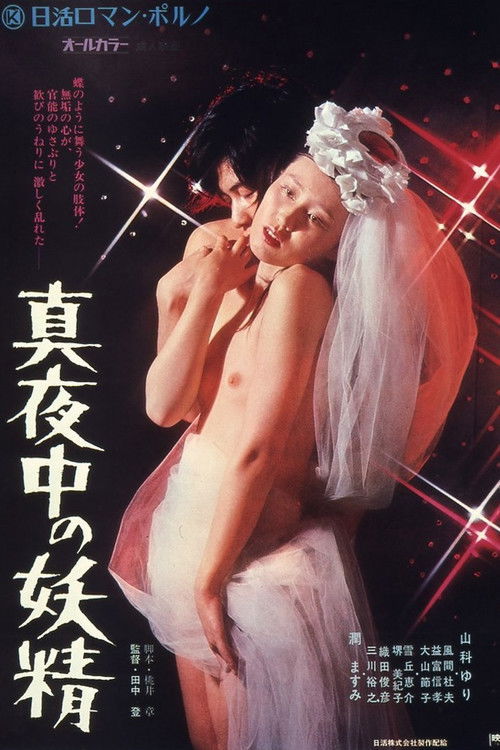 Midnight Fairy Poster