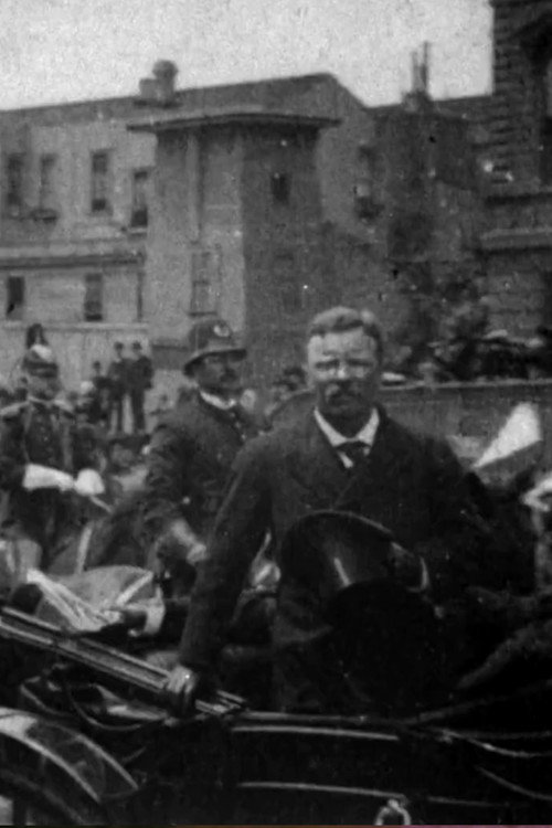 President Reviewing School Children Poster