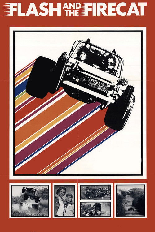 Flash and the Firecat Poster