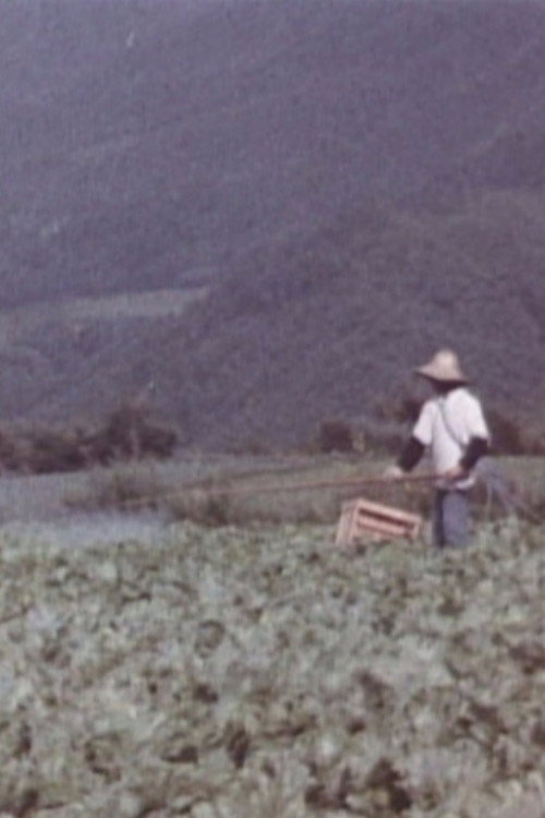 The Disaster of Pesticides Poster