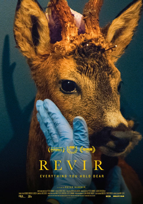 Revir - Everything You Hold Dear Poster