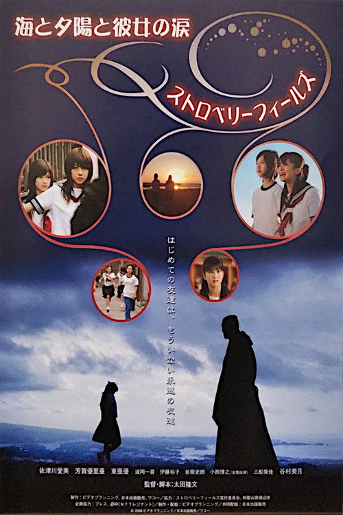 Strawberry Fields Poster