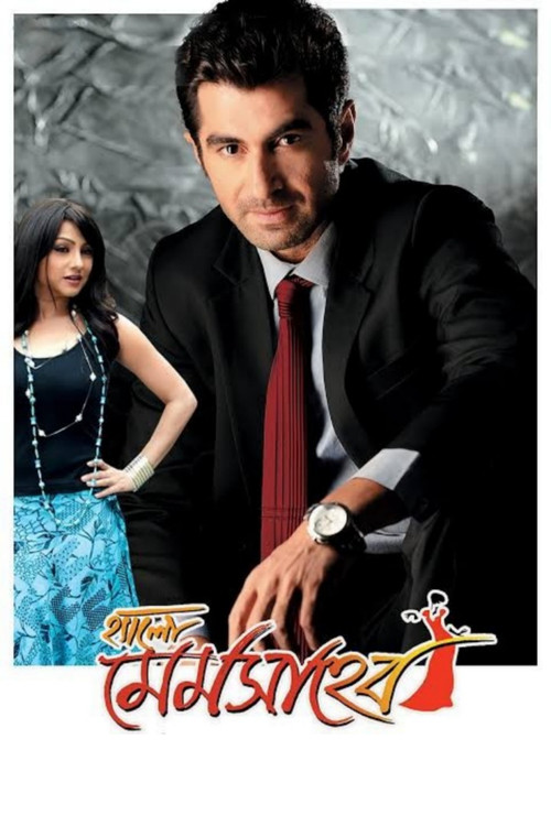 Hello Memsaheb Poster