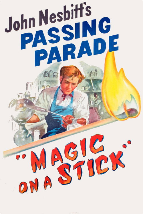 Magic on a Stick Poster